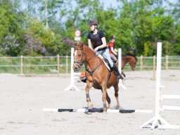IMG_0490_web